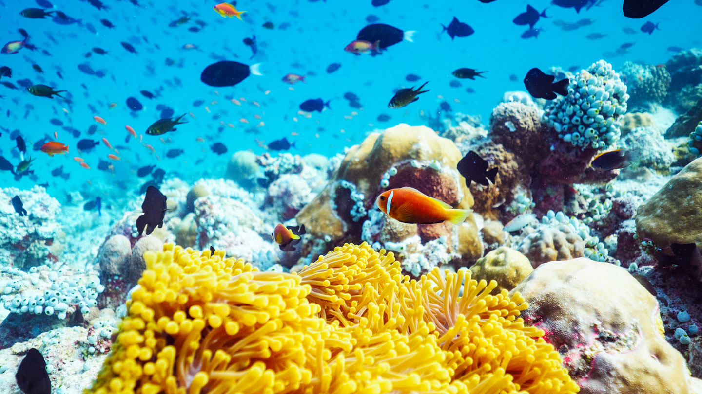 Hotel review Sustainability' - LUX* South Ari Atoll - 0