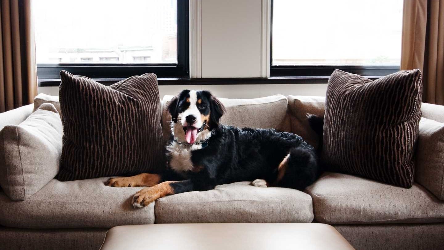 Hotel review What We Love' - XV Beacon Hotel - 0