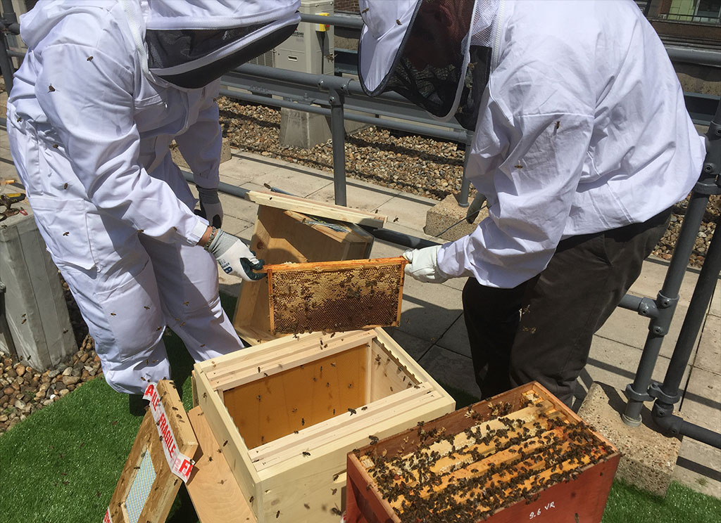 Hotel review Sustainability' - The Ritz London - 1