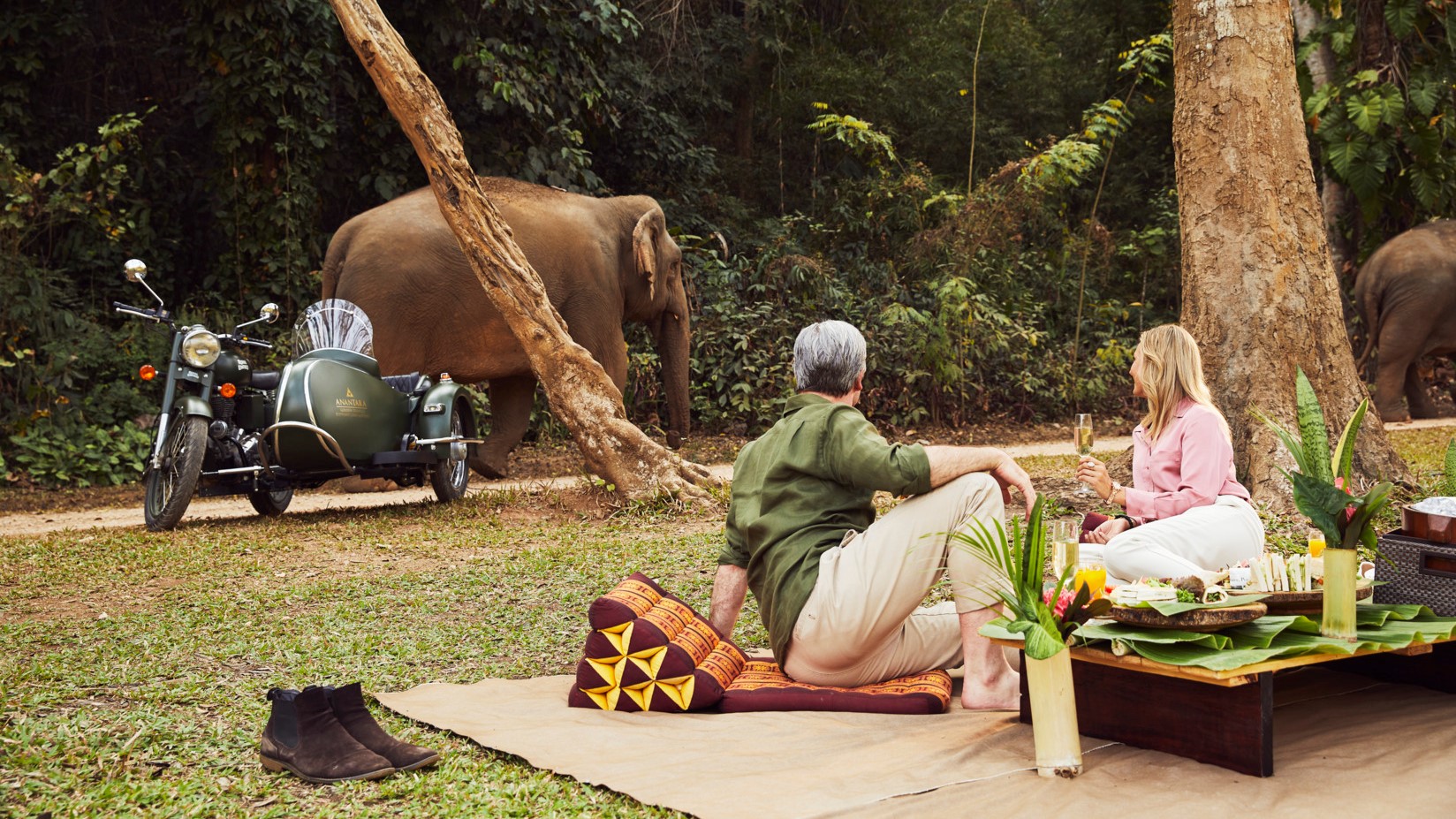 Hotel review Restaurants & Bars' - Anantara Golden Triangle Elephant Camp & Resort - 5