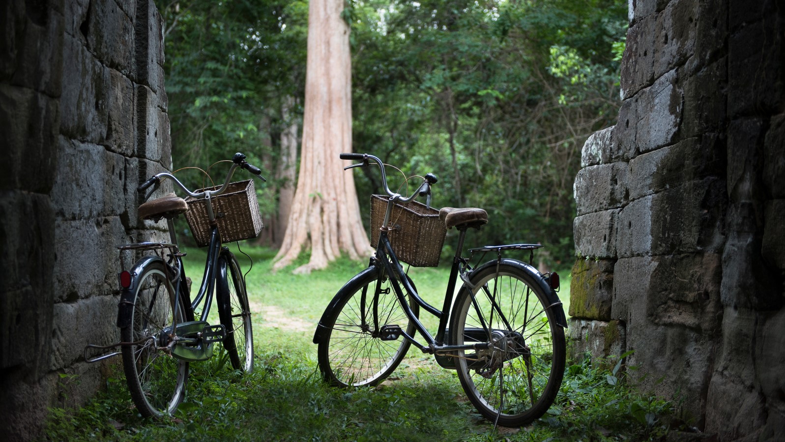 Hotel review Sustainability' - Amansara - 0