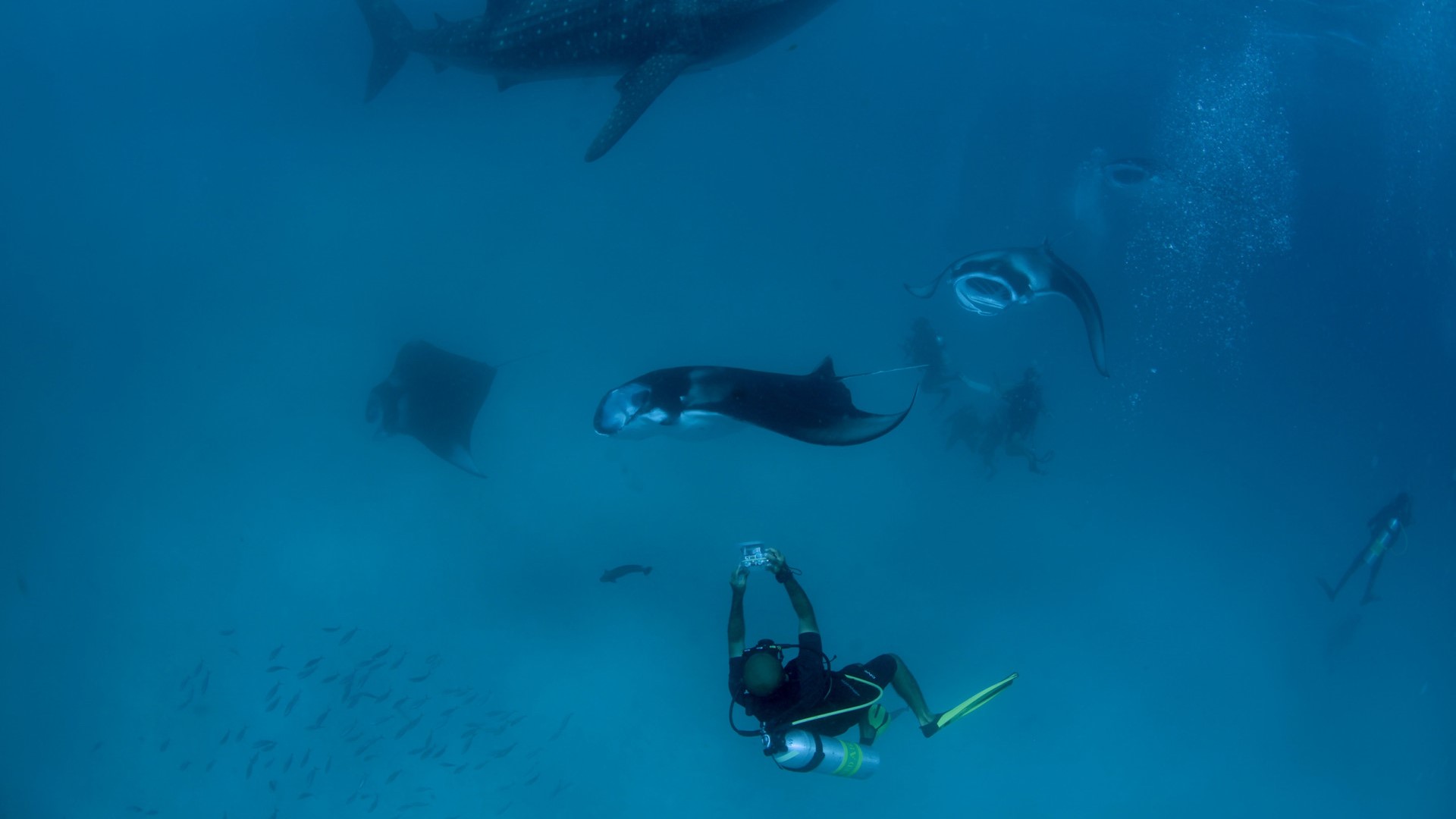 Hotel review Service & Facilities' - Four Seasons Explorer Maldives - 1