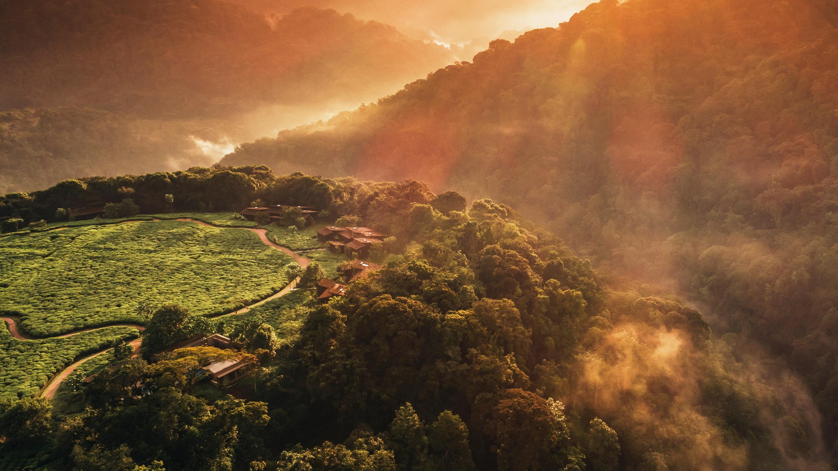 Birdview of woods with camps and trees