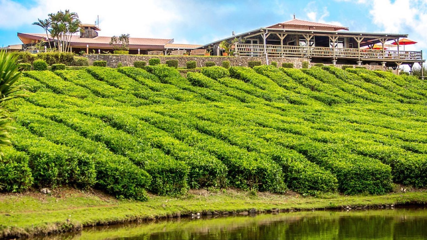 Destinations Articles - Mauritius Travel Guide