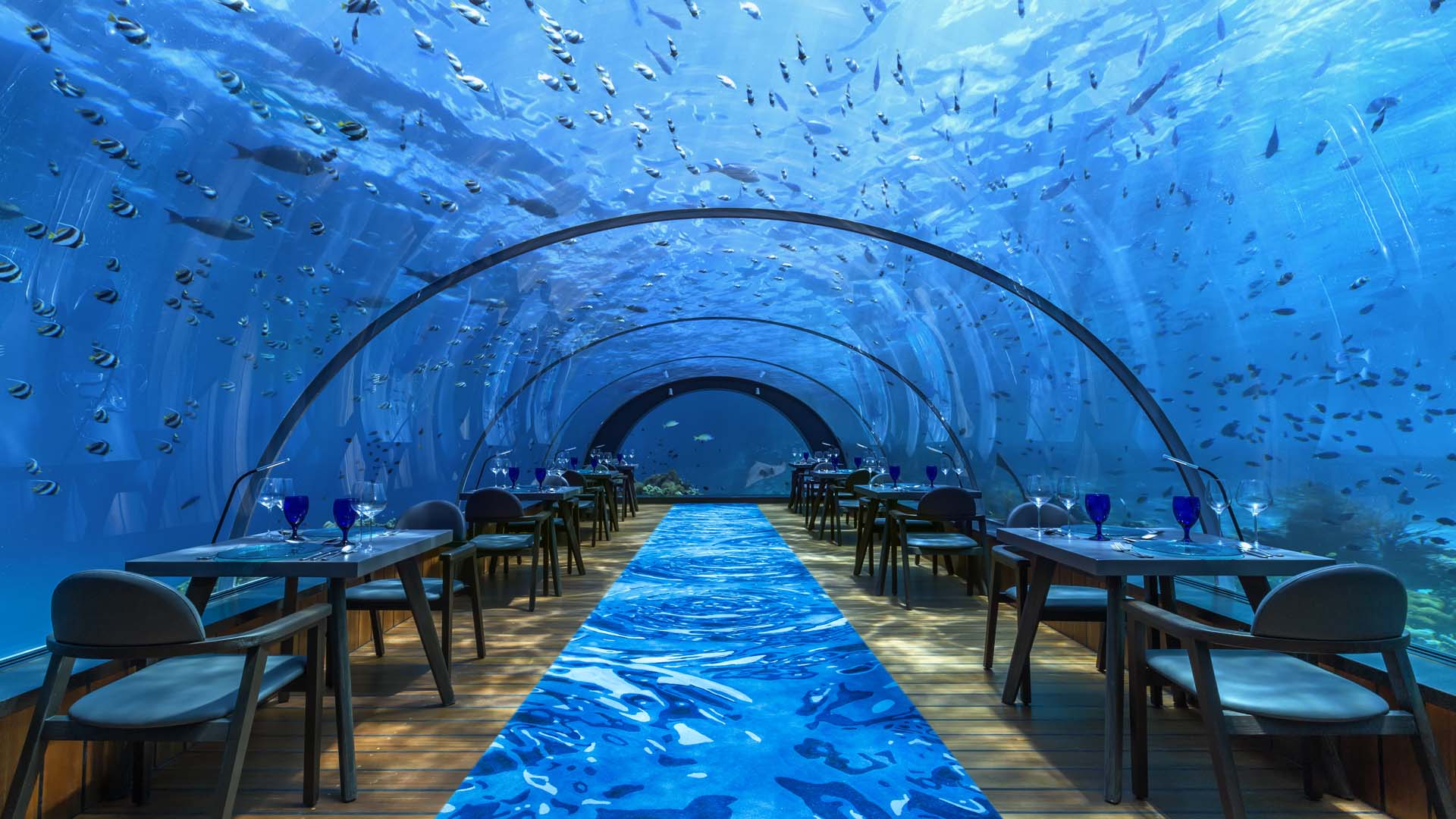 RES1-Hurawalhi-Maldives-Undersea-Restaurant.jpg