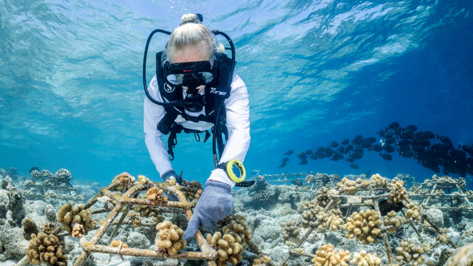 Hotel review Sustainability' - COMO Cocoa Island - 0