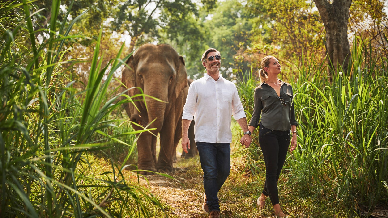 Hotel review What We Love' - Anantara Golden Triangle Elephant Camp & Resort - 1