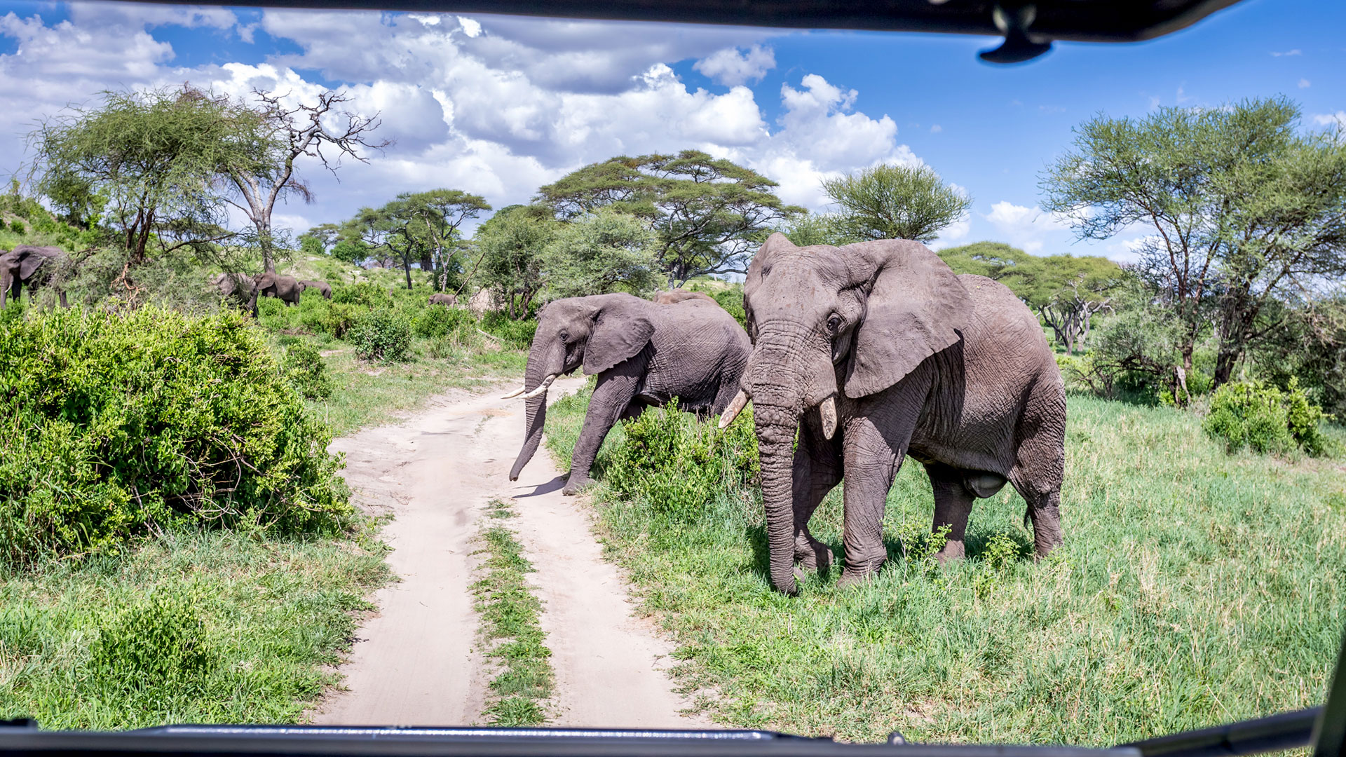 Hotel review Service & Facilities' - One Nature Nyaruswiga Serengeti - 0