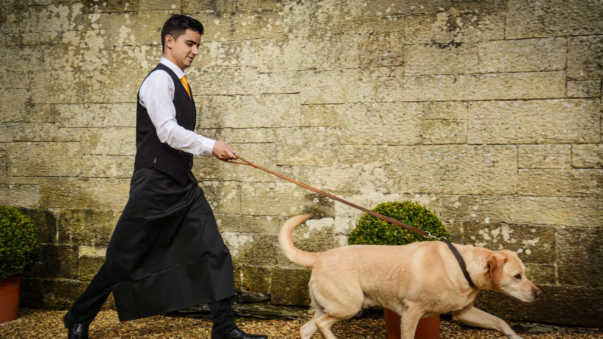 Hotel review Service & Facilities' - Palé Hall Hotel & Restaurant - 2