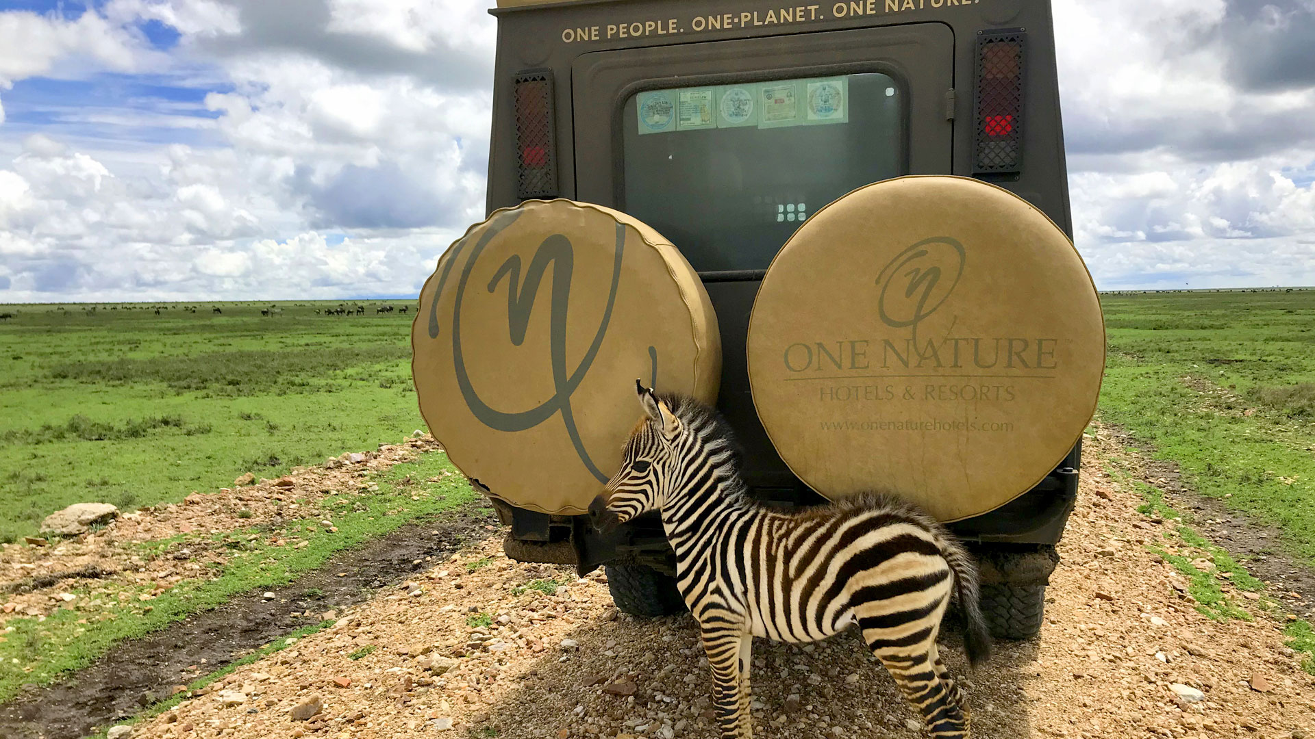 Hotel review Location' - One Nature Nyaruswiga Serengeti - 1