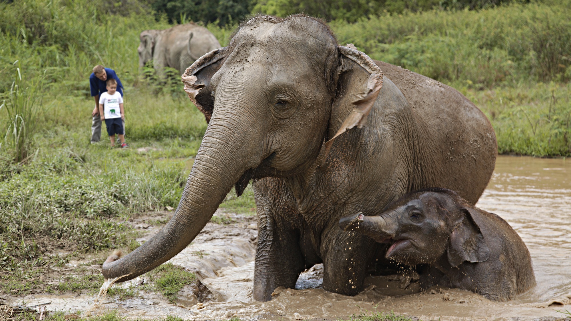 Anantara offers a unique virtual educational field trip image