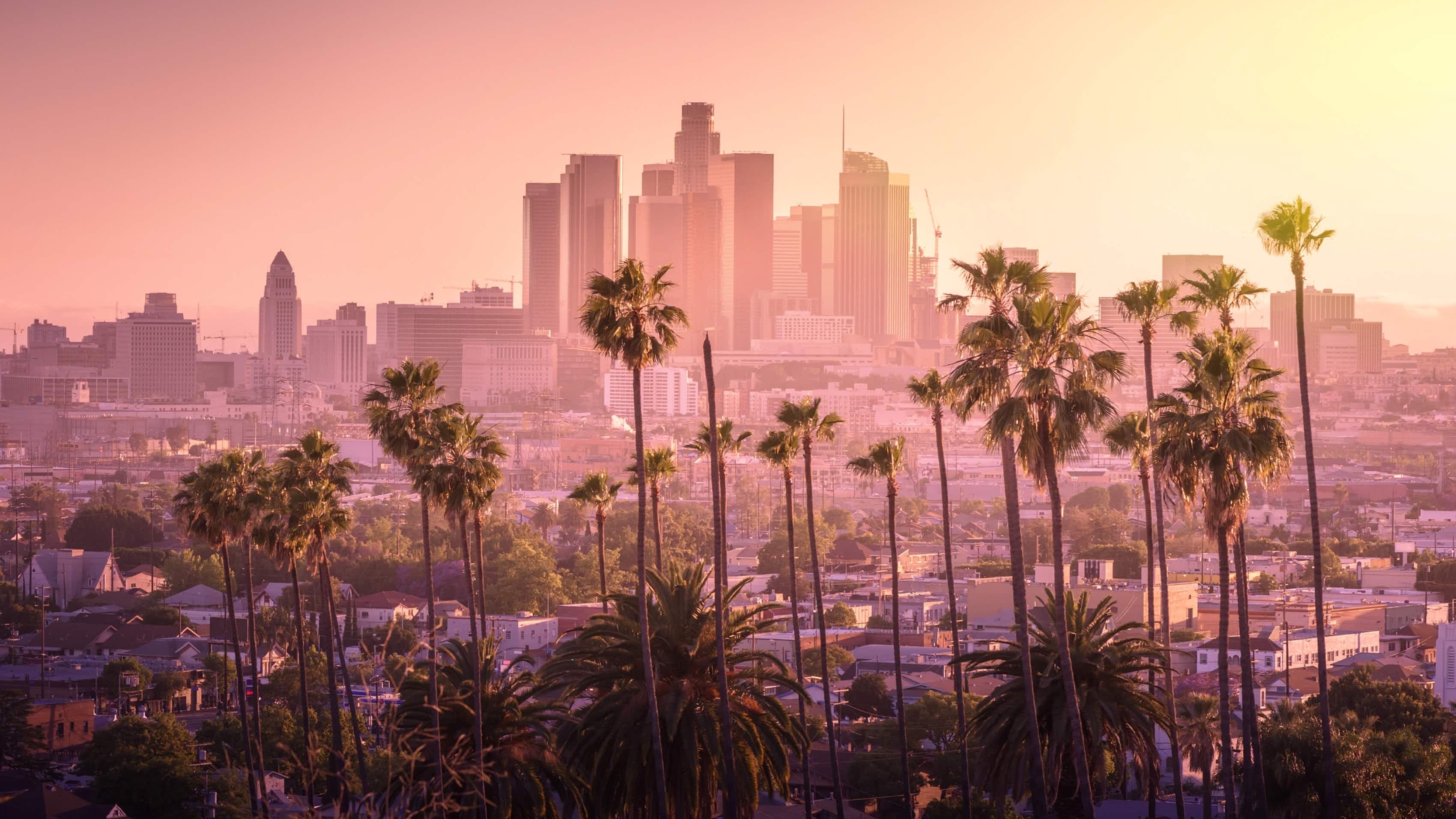 Los Angeles Travel Guide image