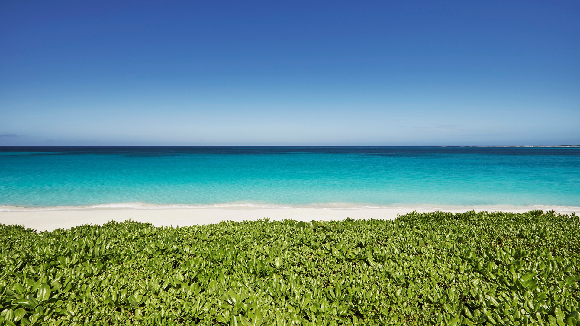 Hotel review What We Love' - The Ocean Club, A Four Seasons Resort - 3