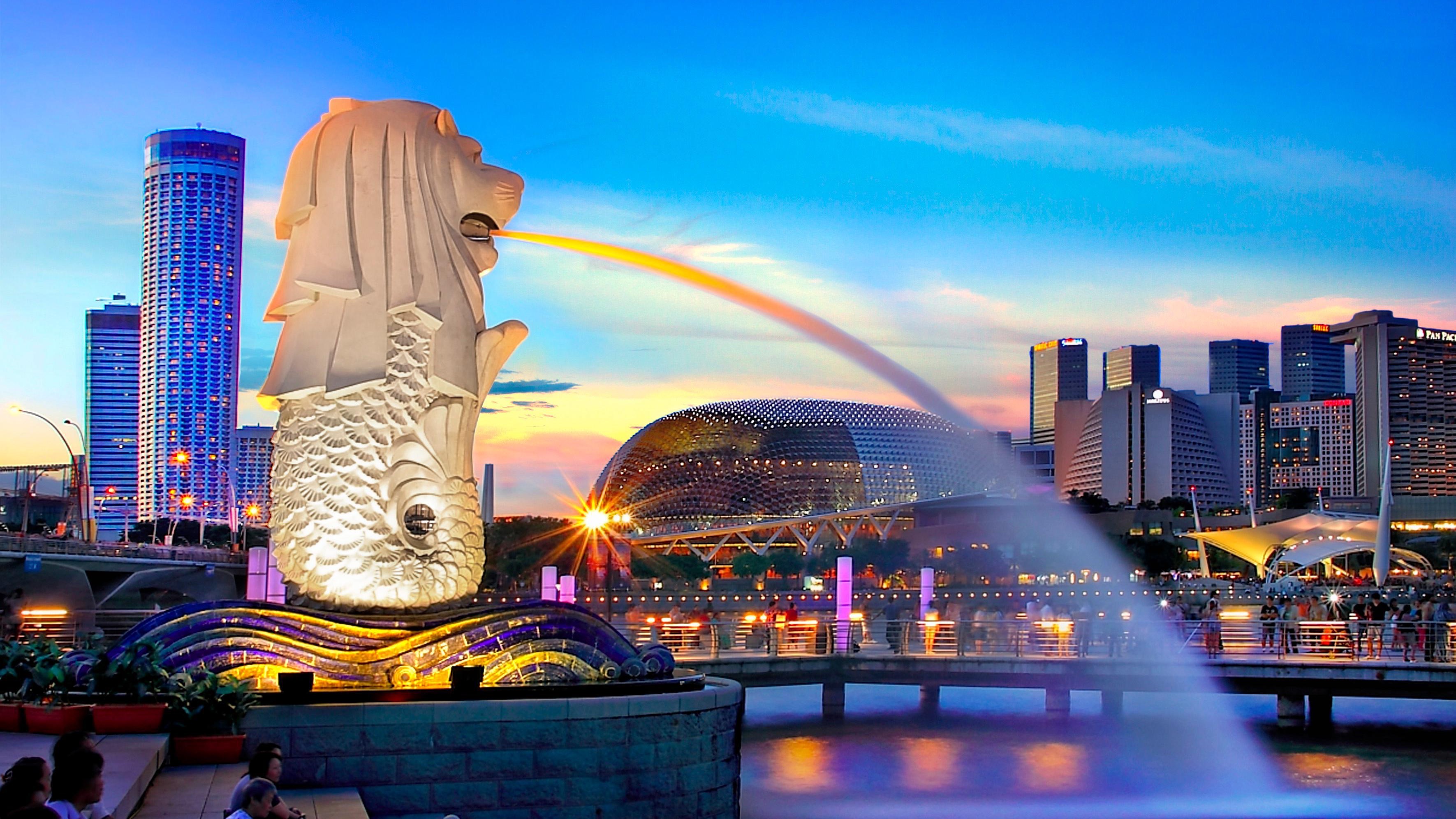 Singapore Travel Guide image