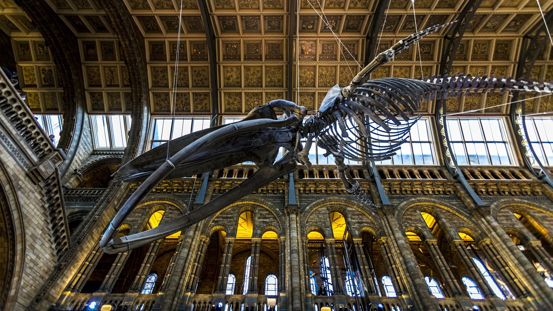 10 Best Museums in London image