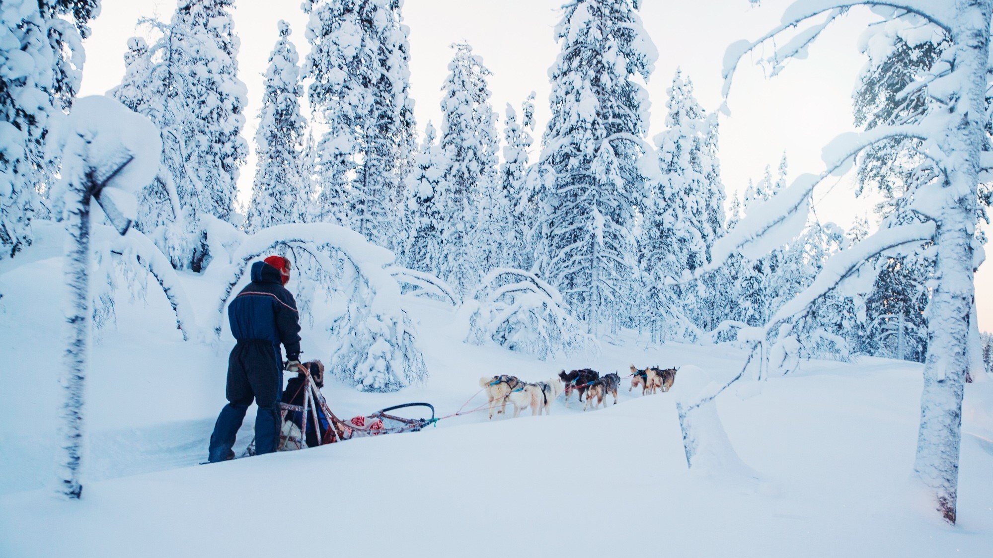 Hotel review Service & Facilities' - Kakslauttanen Arctic Resort - Igloos and Chalets - 0