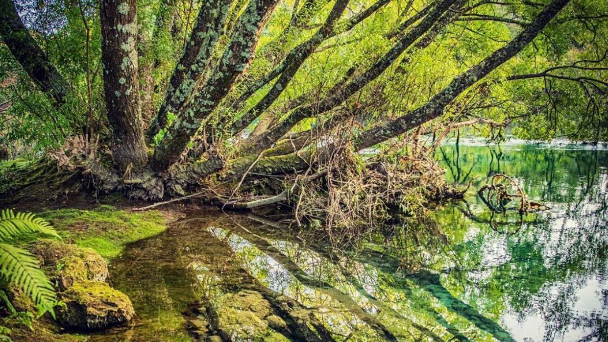 Hotel review Sustainability' - Huka Lodge - 1