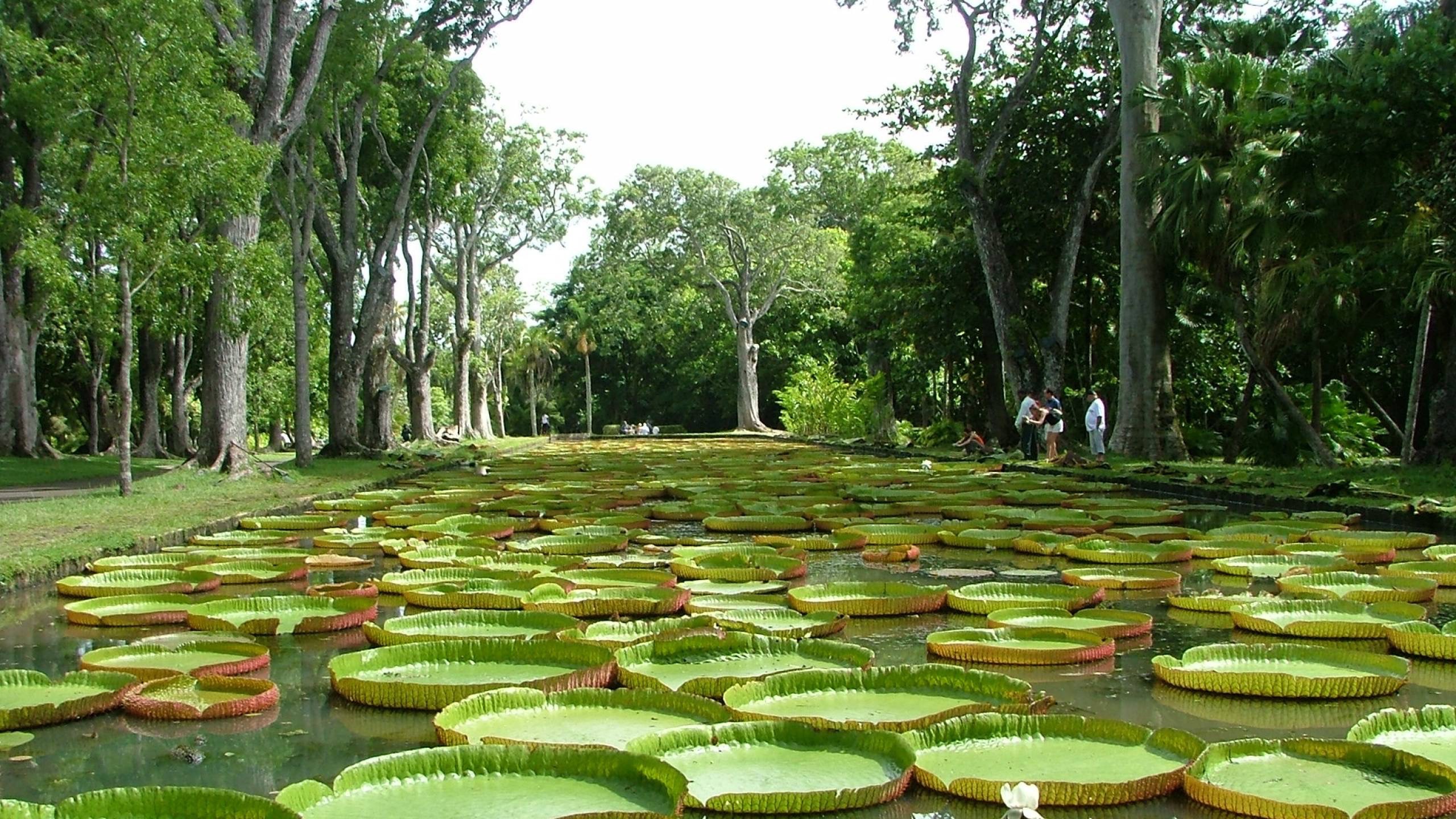 Destinations Articles - Mauritius Travel Guide