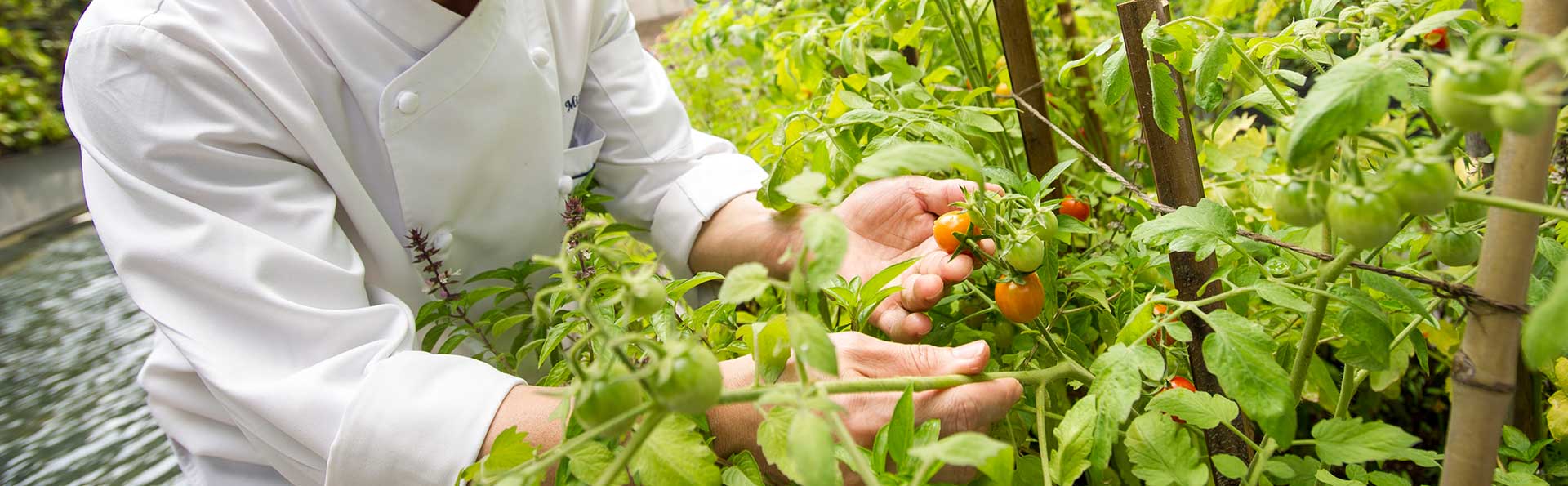 Hotel review Sustainability' - Marina Bay Sands - 0