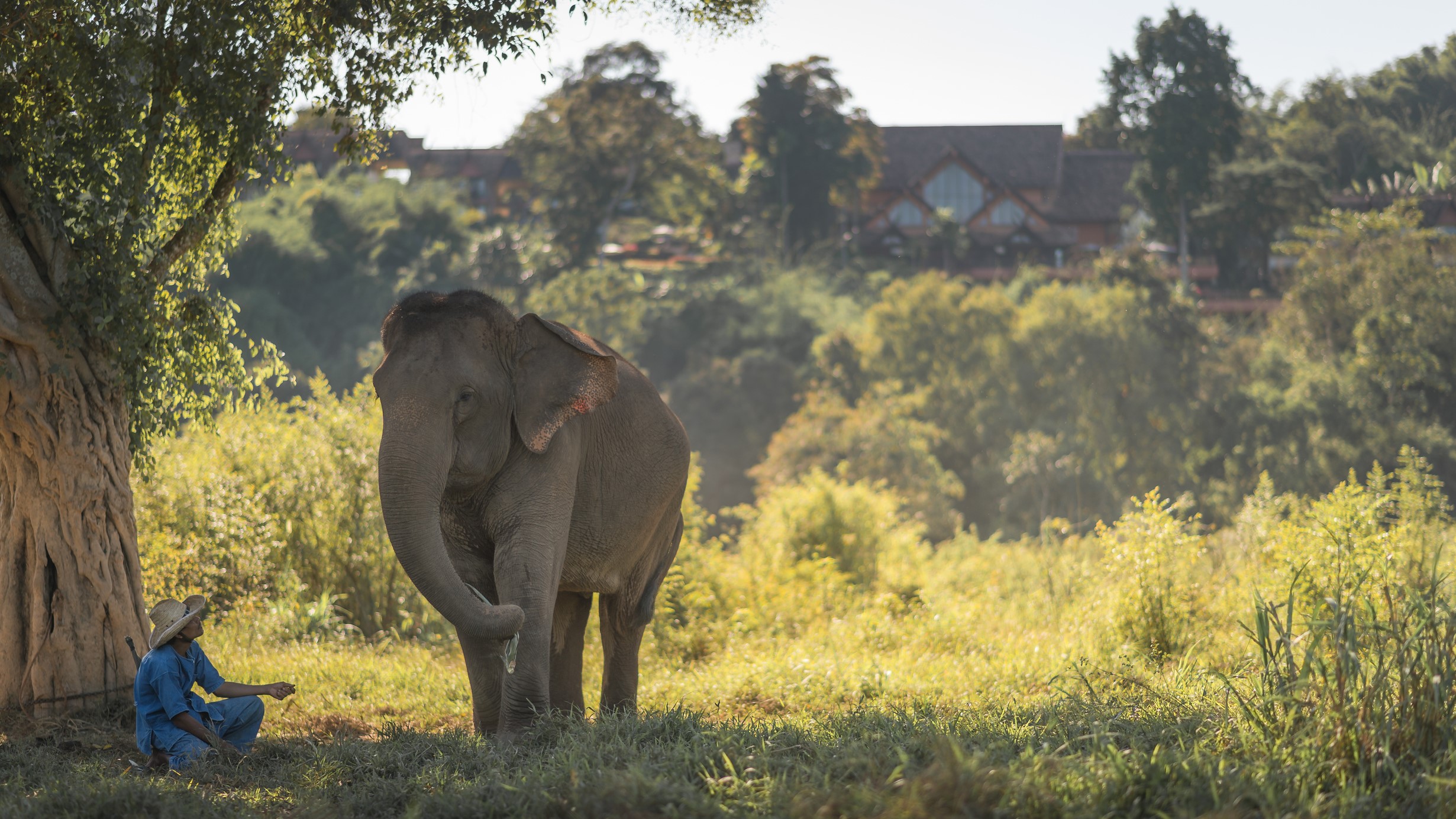Hotel review Service & Facilities' - Anantara Golden Triangle Elephant Camp & Resort - 1