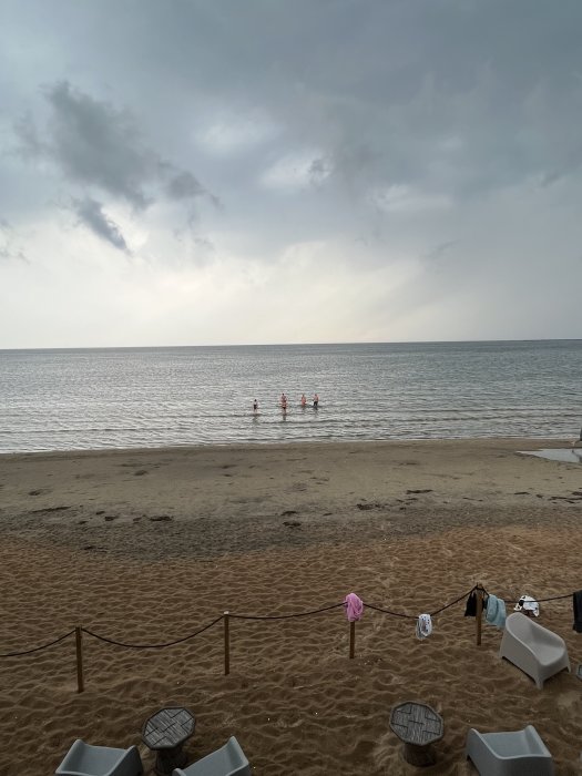 0022CF84-5F00-47A5-9326-AECB5D9BC46F.jpeg