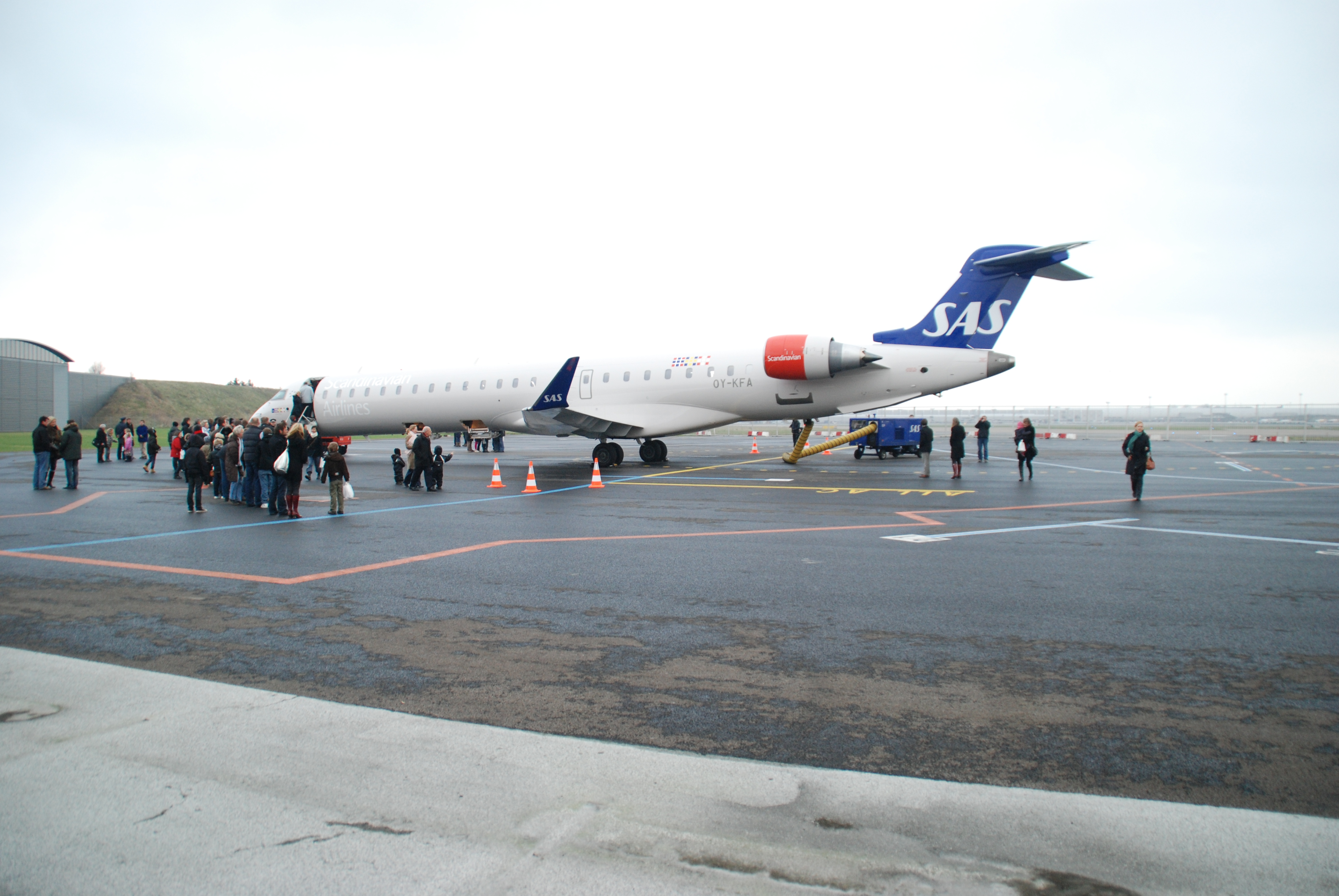 02.JPG