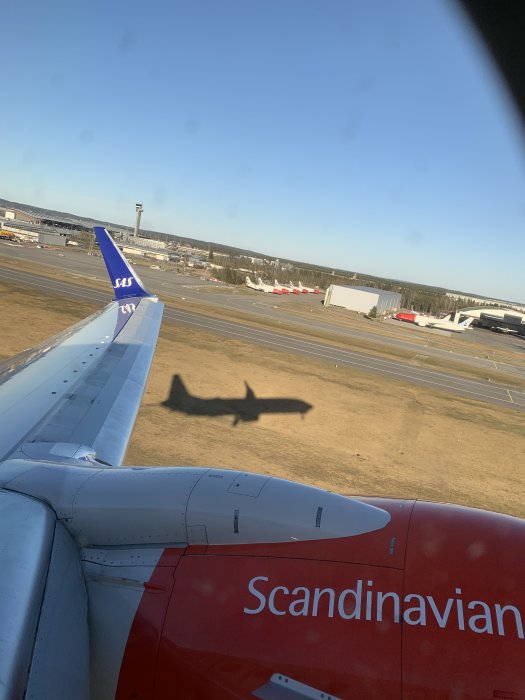 062BD774-B172-4E9E-B532-1985059EDD03.jpeg