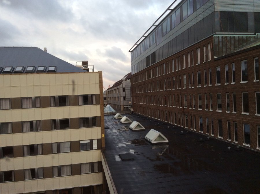 0B14D138-6914-45C5-8714-26ED13646871.jpeg