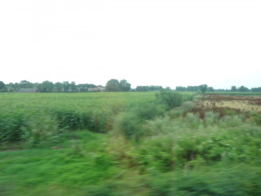 0C526825-C463-44CB-972D-B700383B798B.jpeg
