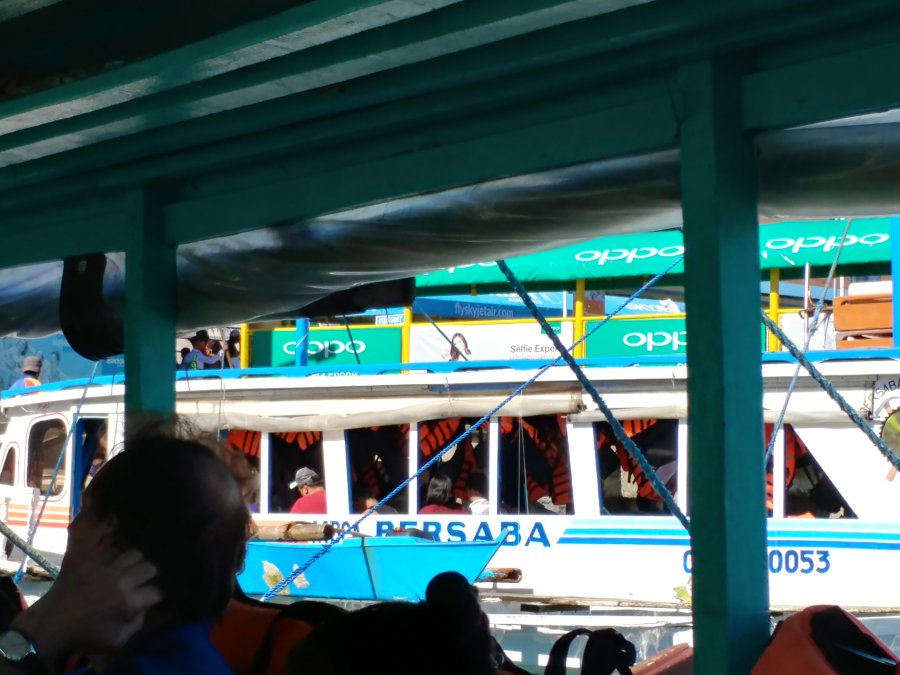 1492153448178916851768.jpg