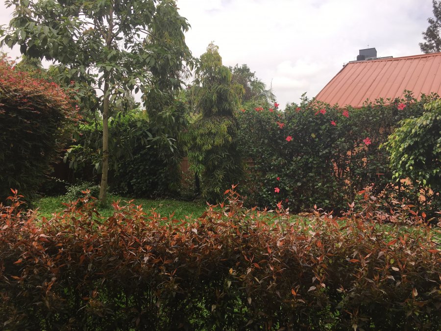 17467D4D-2E5E-4CD4-8489-BAFE9F177081.jpeg
