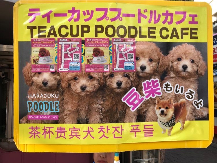 1D1DD8DC-B4AB-4EDA-8510-C66CDADAB8C1.jpeg
