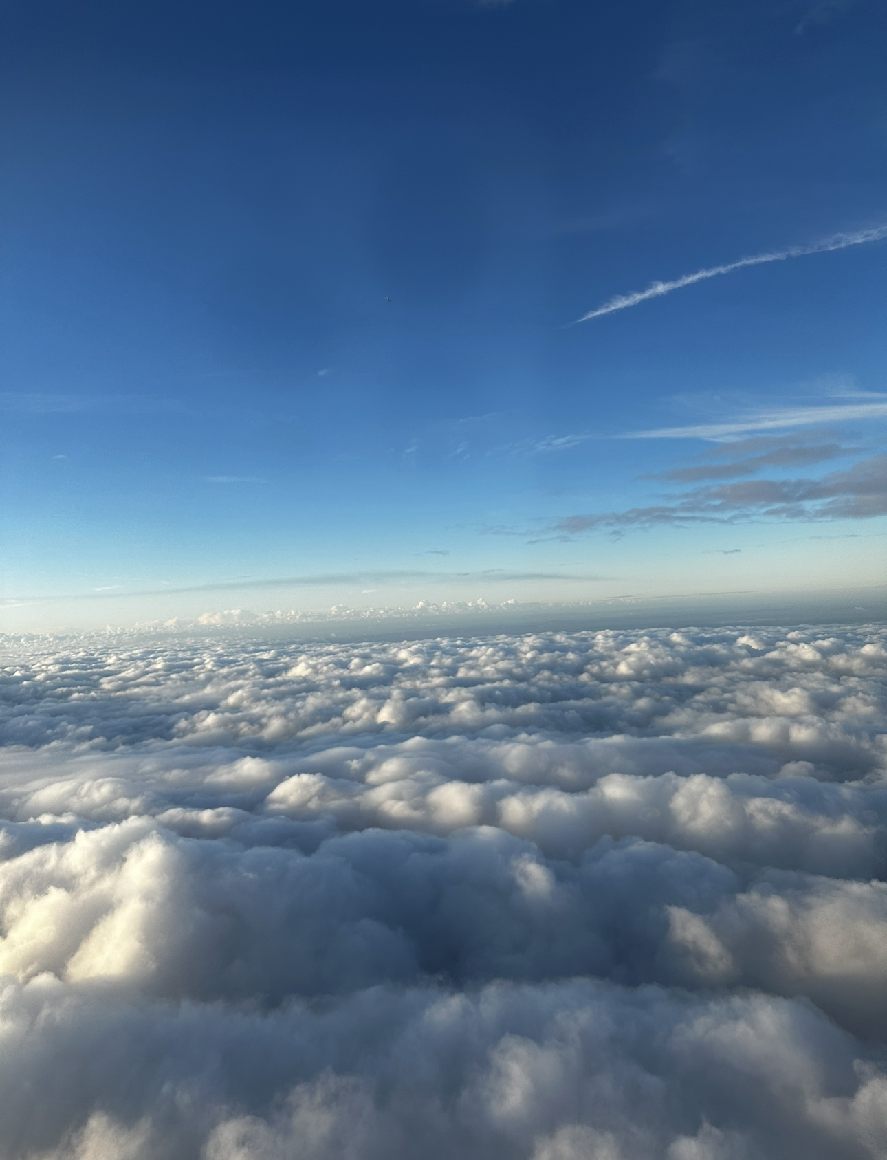 1E69A230-4128-488B-A9FA-BD1BE76AF68F.jpeg
