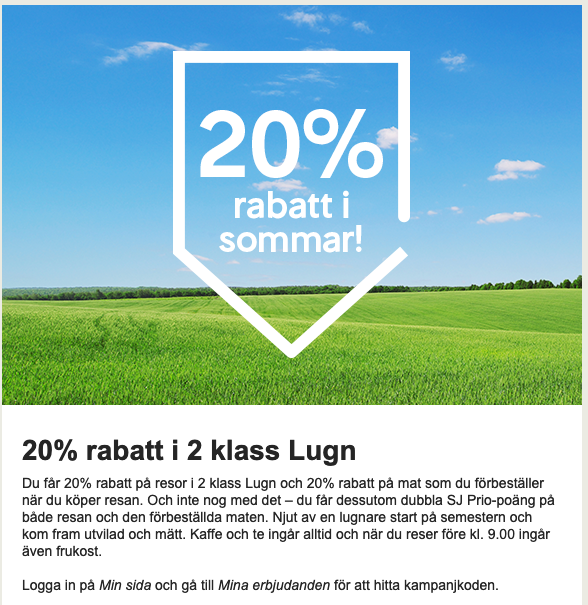 20%.png