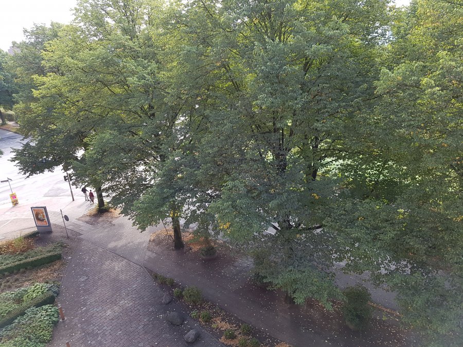 20160904_153019.jpg