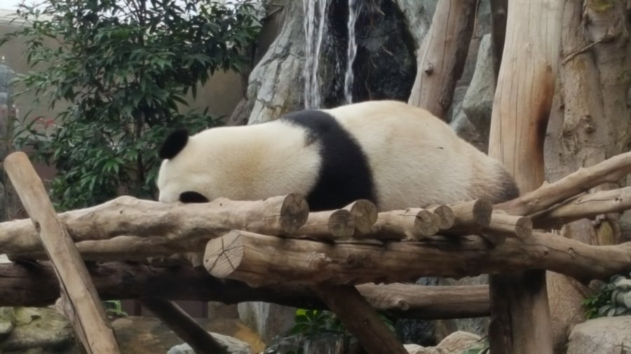 20170223_153047.jpg