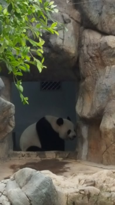 20170223_165556.jpg