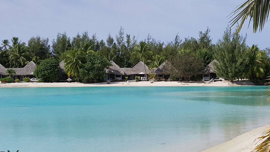 20170413_092420.jpg