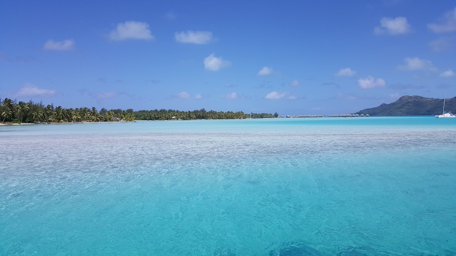 20170420_120505.jpg