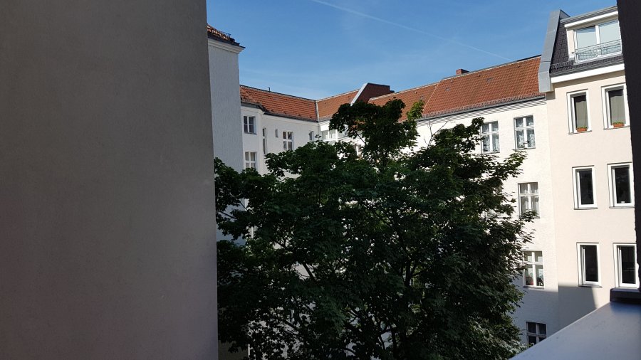 20170615_083528.jpg