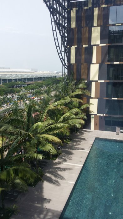20170705_124134.jpg