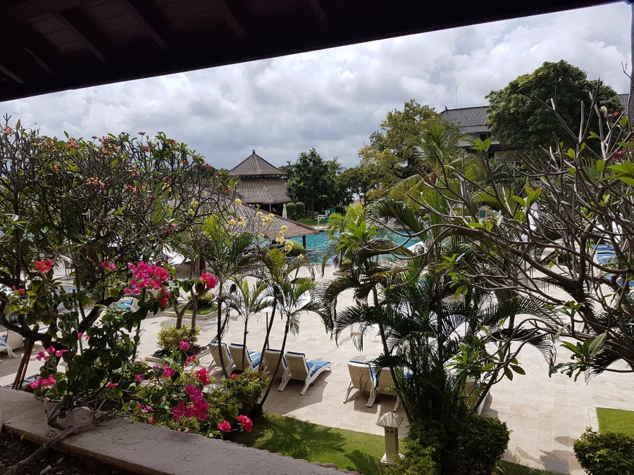 20170707_122953.jpg