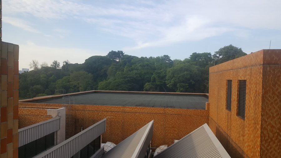 20170717_180537.jpg