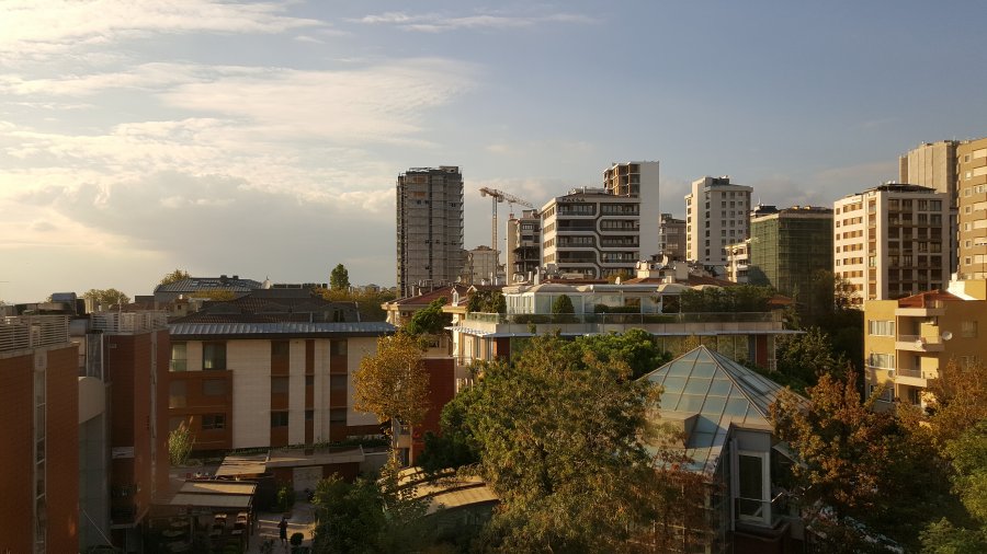 20171009_164921.jpg