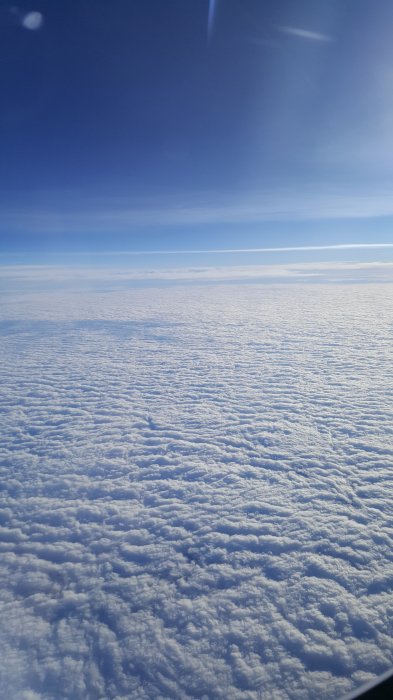 20180315_174032.jpg