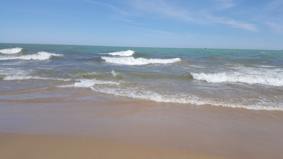 20180319_125658.jpg