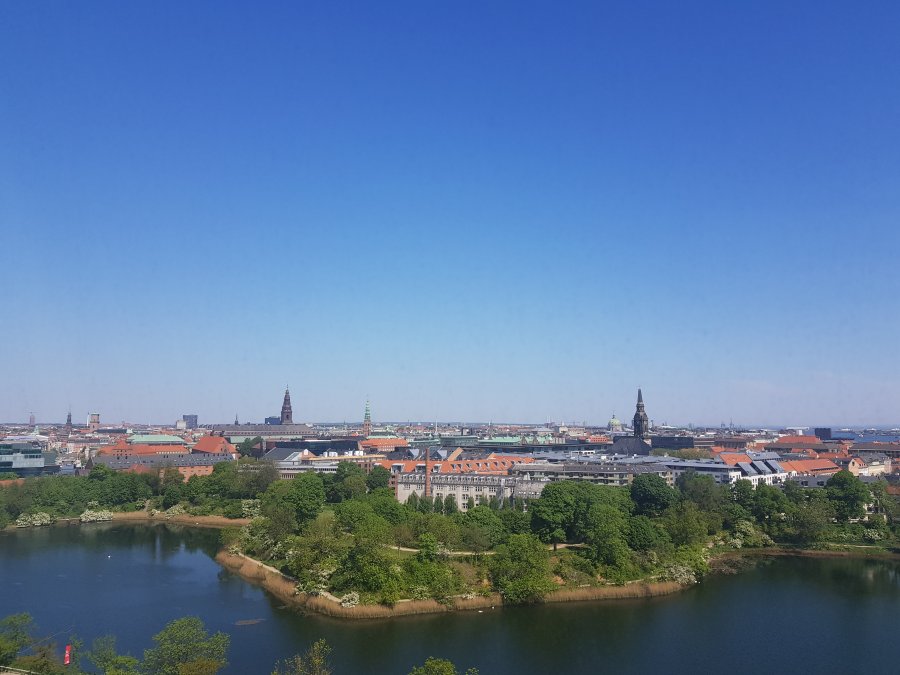 20180516_111721.jpg