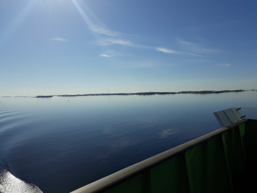20180526_091426.jpg