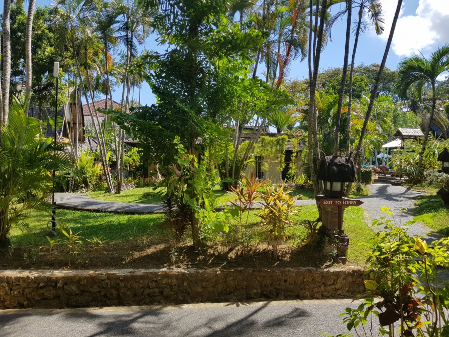 20180614_133057.jpg