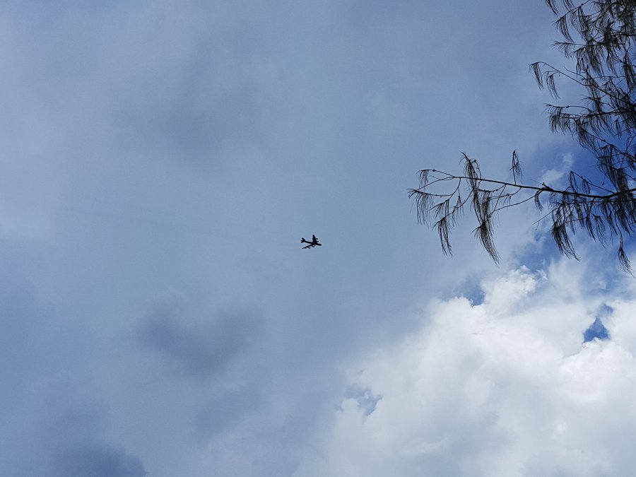 20180629_125730.jpg